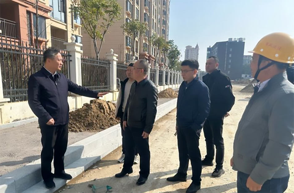 青山湖區(qū)黨委副書記、區(qū)長楊育星到利民路項目調研