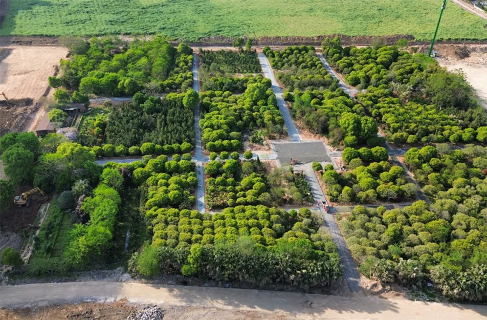 南昌九洲公園稻香園及植物園項目沖刺：農(nóng)旅融合打造生態(tài)文旅新地標